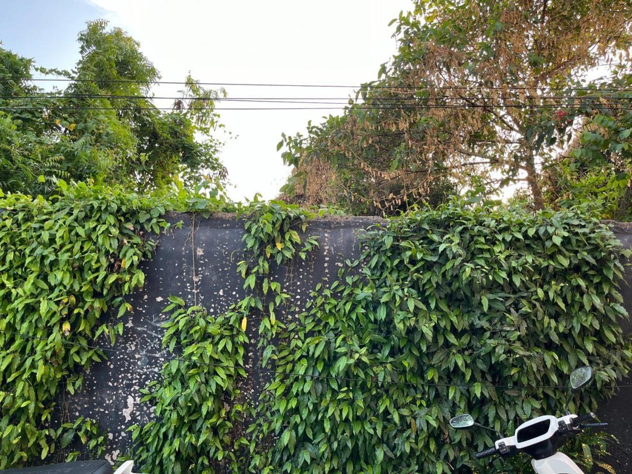Nirman 5 Minutes Walk To Homestay